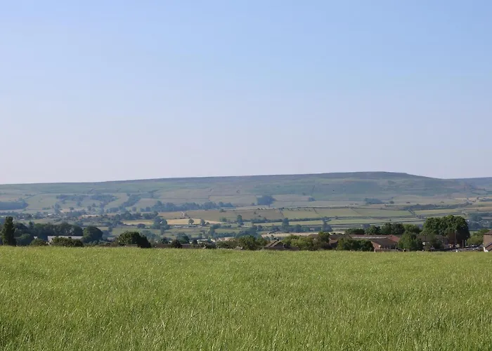 66 Dale Grove Holiday home Leyburn